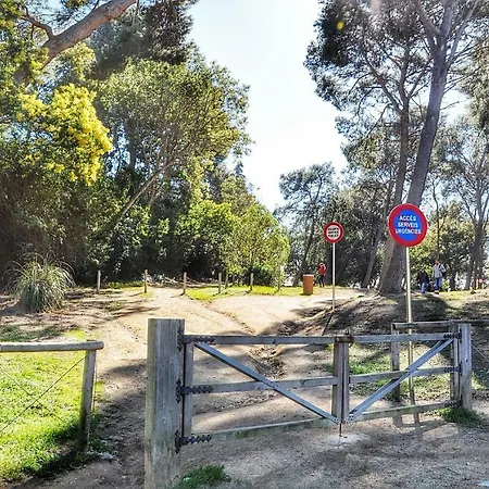 Appartamento Valera Lloretholiday